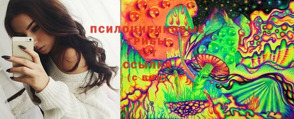 синтетический гашиш Пролетарск