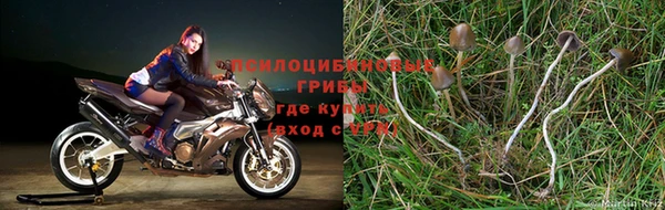 спиды Моршанск