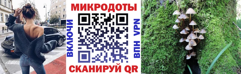 kraken как зайти Терек Галлюциногенные грибы MAGIC MUSHROOMS